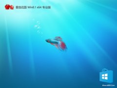 <font color='#990000'>���ѻ�԰v2026.03����win8.1 64λ���ʰ�</font>